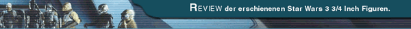Review-Bereich